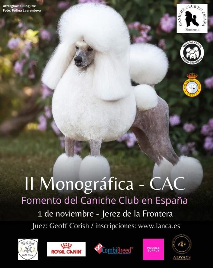 Próxima exposición monográfica con CAC en Jerez de la Frontera