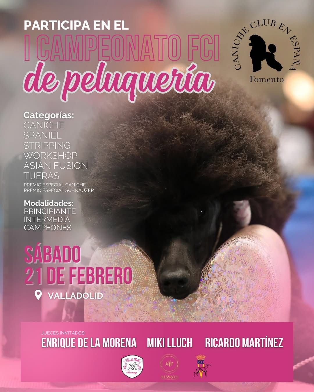 cartel anunciador de concurso de peluquería
